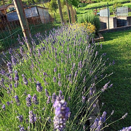 Casa Vacanze La Cicala Pontremoli Εξωτερικό φωτογραφία